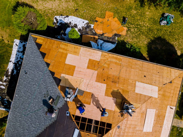 Best Roof Maintenance Services  in Affton, MO